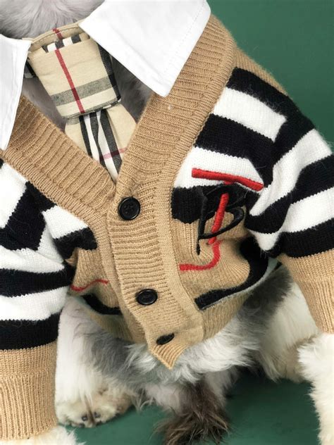 burberry dog sweaters